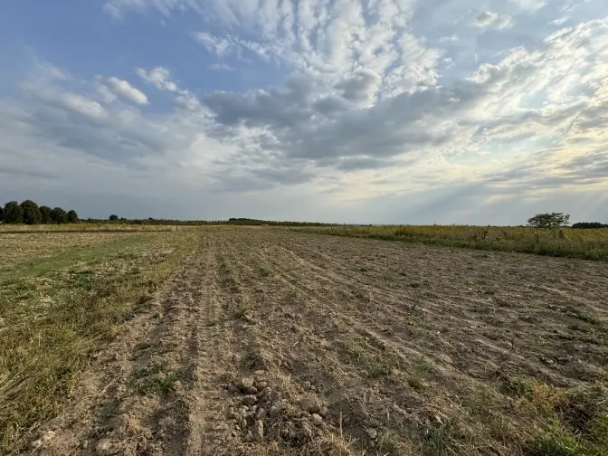 фото умовне