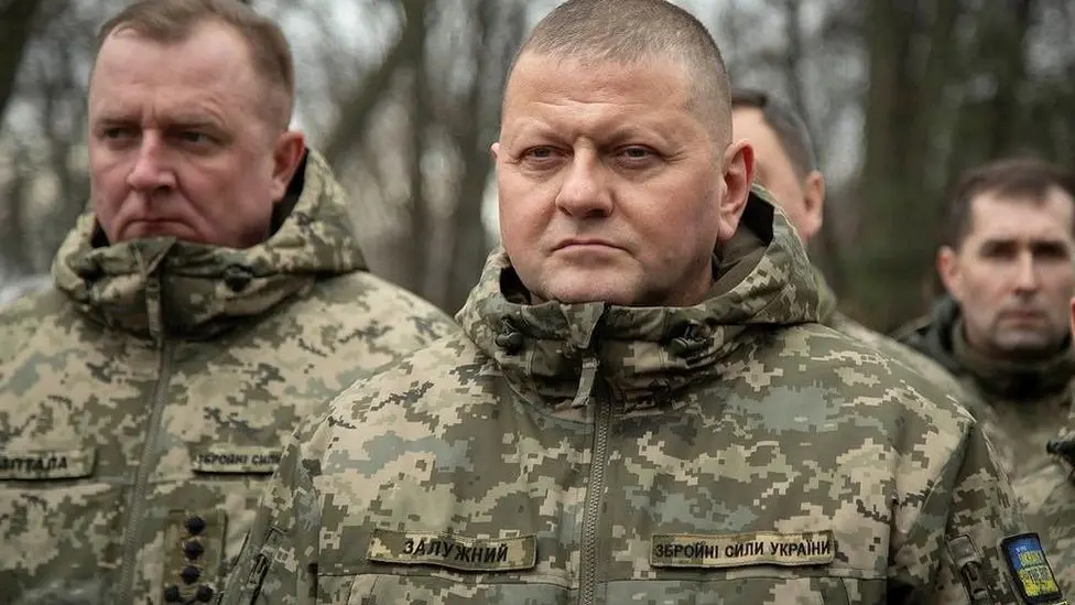 Залужний сказав, скільки окупованих земель звільнили ЗСУ за минулий рік