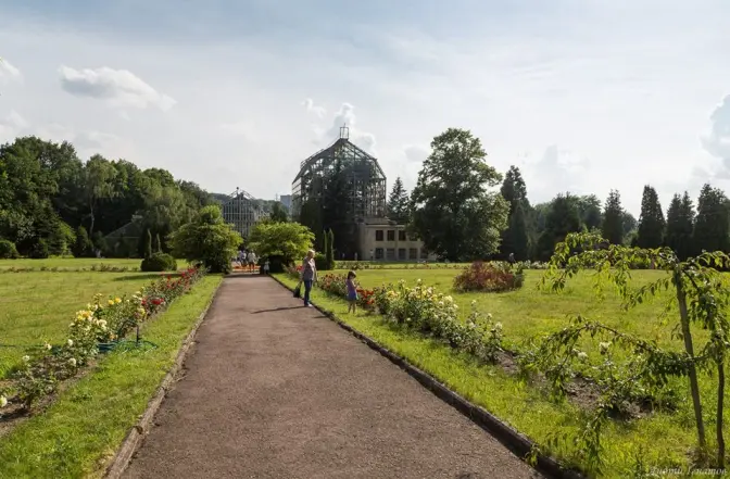 Львів’ян запрошують на День відкритих дверей у Ботанічний сад