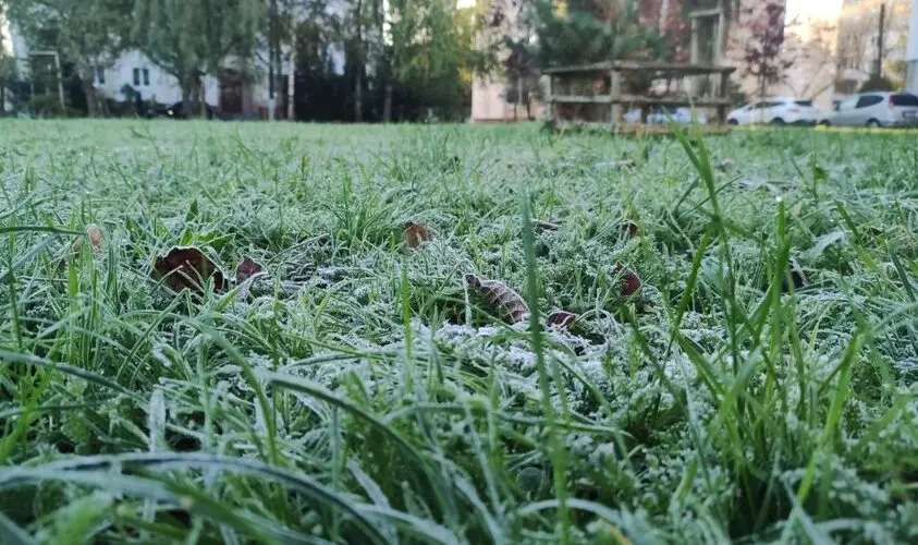 Заморозок. Ілюстративне фото