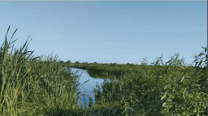 Громаді на Львівщині повернули земельну ділянку вартістю 2 млрд грн