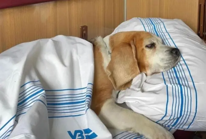 Фото з відкритих джерел