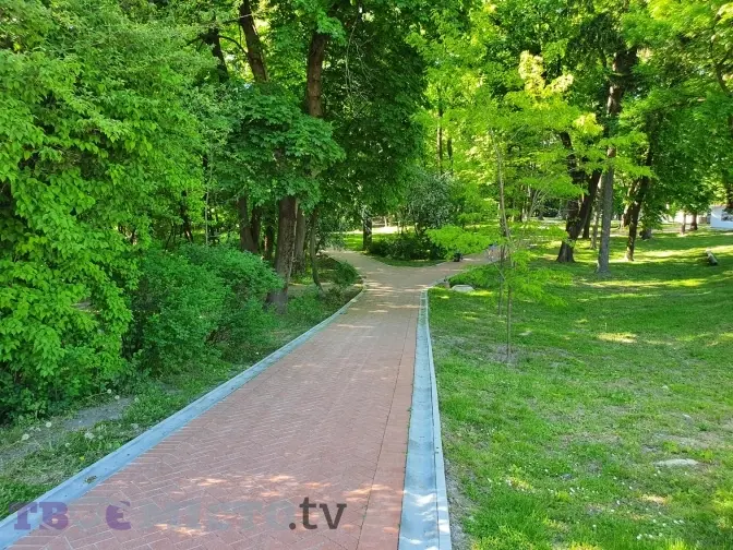 Чому у Львові зупинилася реконструкція Личаківського парку. Фото, відео