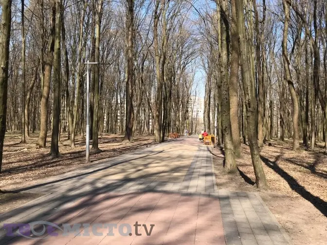 Чи дотримуються львів'яни нових вимог карантину. Відео
