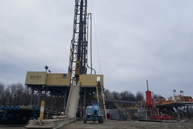 Компанія Козицького купила дозвіл на надра Тинівського газового родовища за двічі зниженою ціною