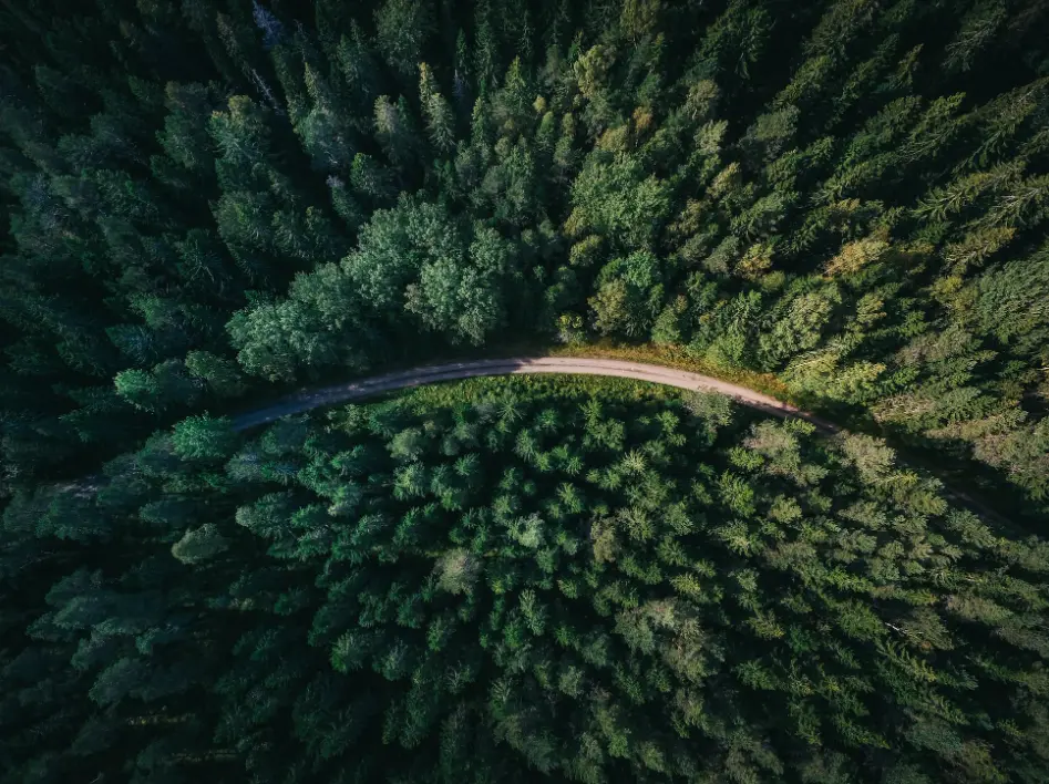 Фото умовне / Unsplash