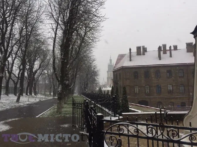 Перший сніг та мороз. Прогноз погоди у Львові на тиждень