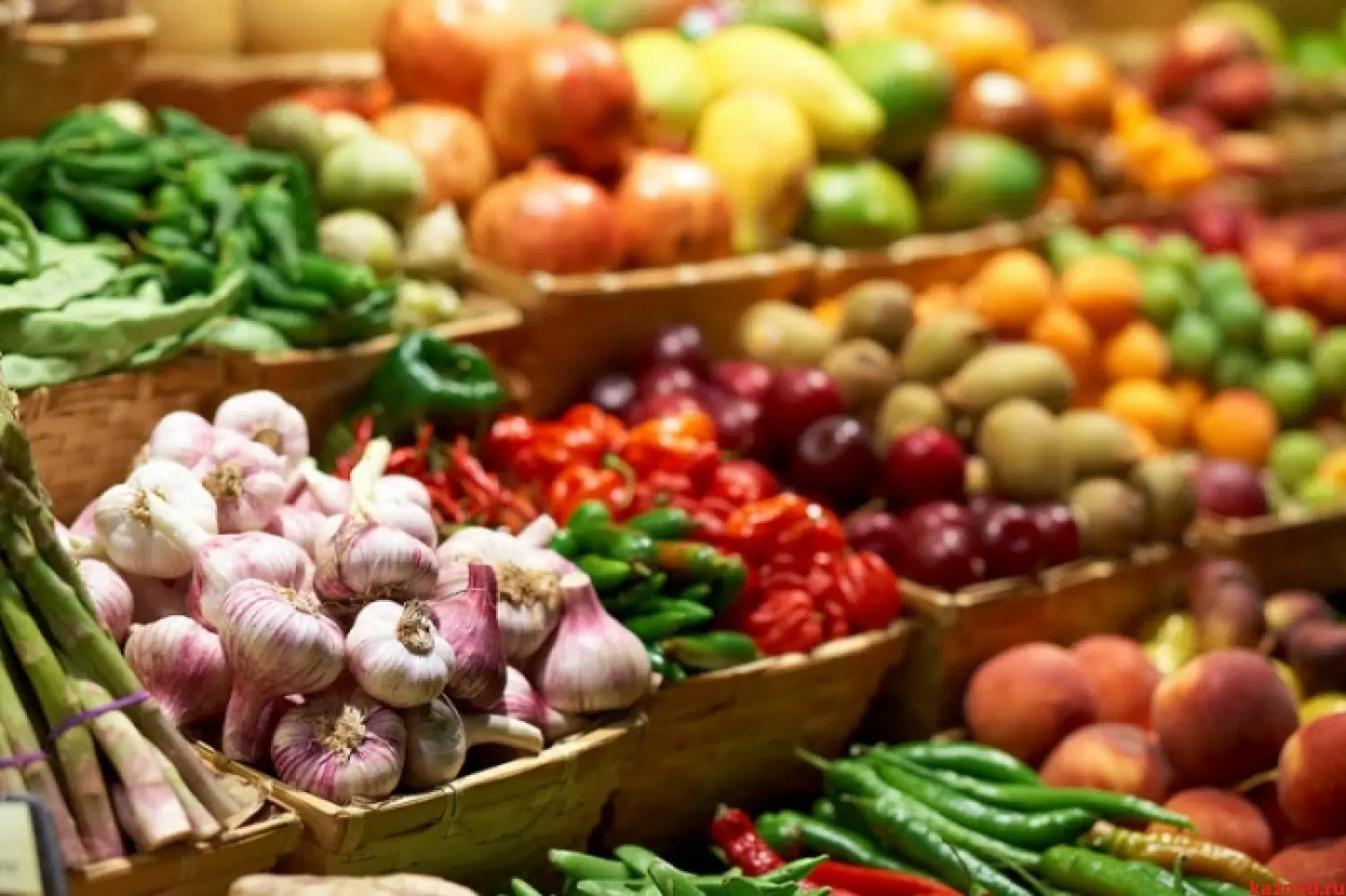 Продуктові ярмарки. Фото: відкриті джерела