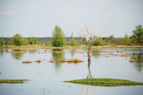 На Львівщині очікуюють підняття рівня води у річках