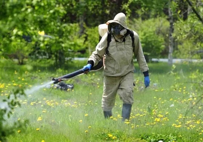 Львів'ян просять не відвідувати парки через обробку від кліщів