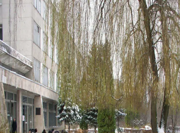 Львівський радіотехнічний інститут вивели зі складу «Укроборонпрому»