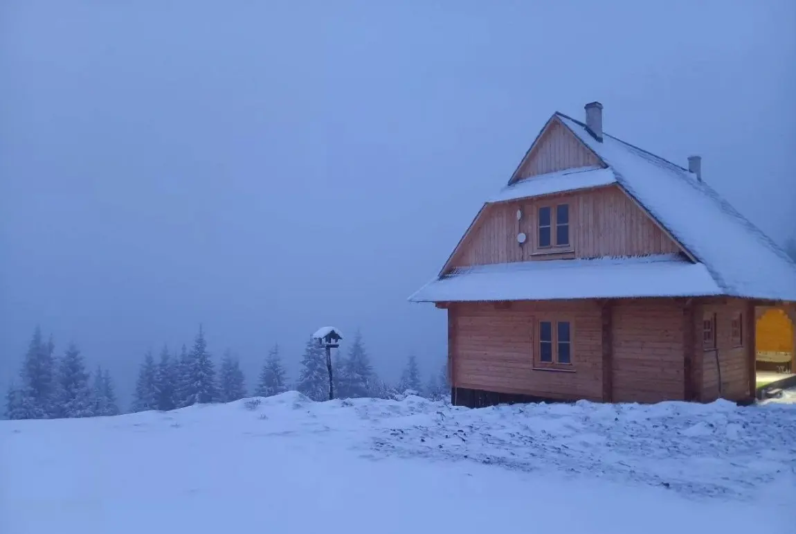 Сніг в нацпарку "Верховинський" / Фото зі Facebook