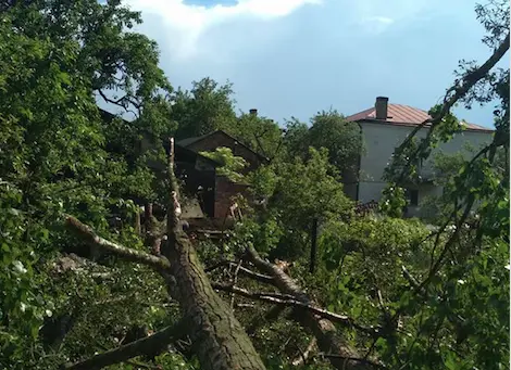 Фото: Ольга Дідух/Facebook