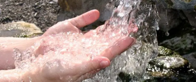 45% води у джерелах Львова забруднені кишковою паличкою