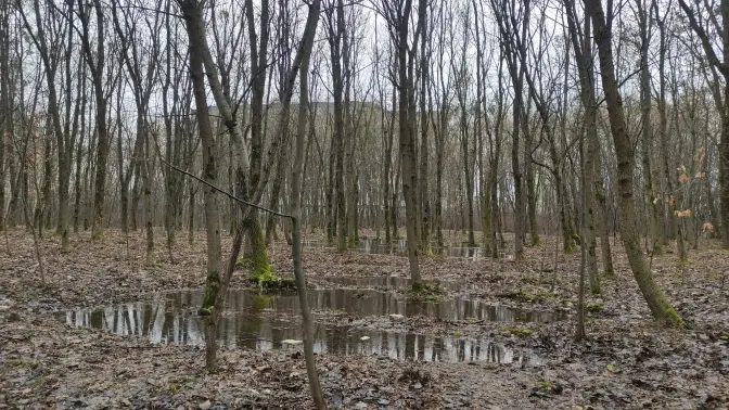 В одному із парків Львова, який затоплює через забудову, почнуть ремонт водовідведення