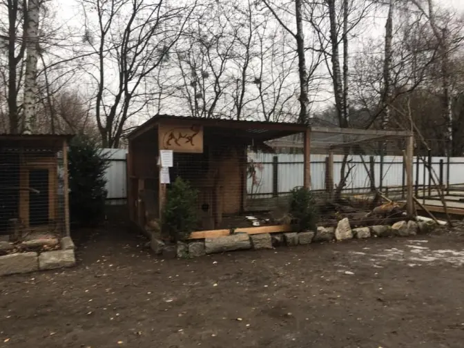 Львів’ян просять допомогти підопічним Домівки врятованих тварин. Фото
