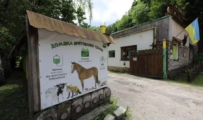 Базар Добра у Львові: кожен донат і покупка підтримують тварин із «Домівки»