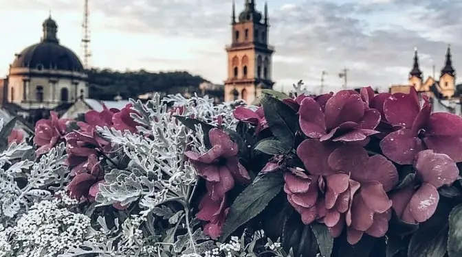 Затримання у Львові у справі Новака та вакцина проти Covid-19. Головне за ніч і минулу добу