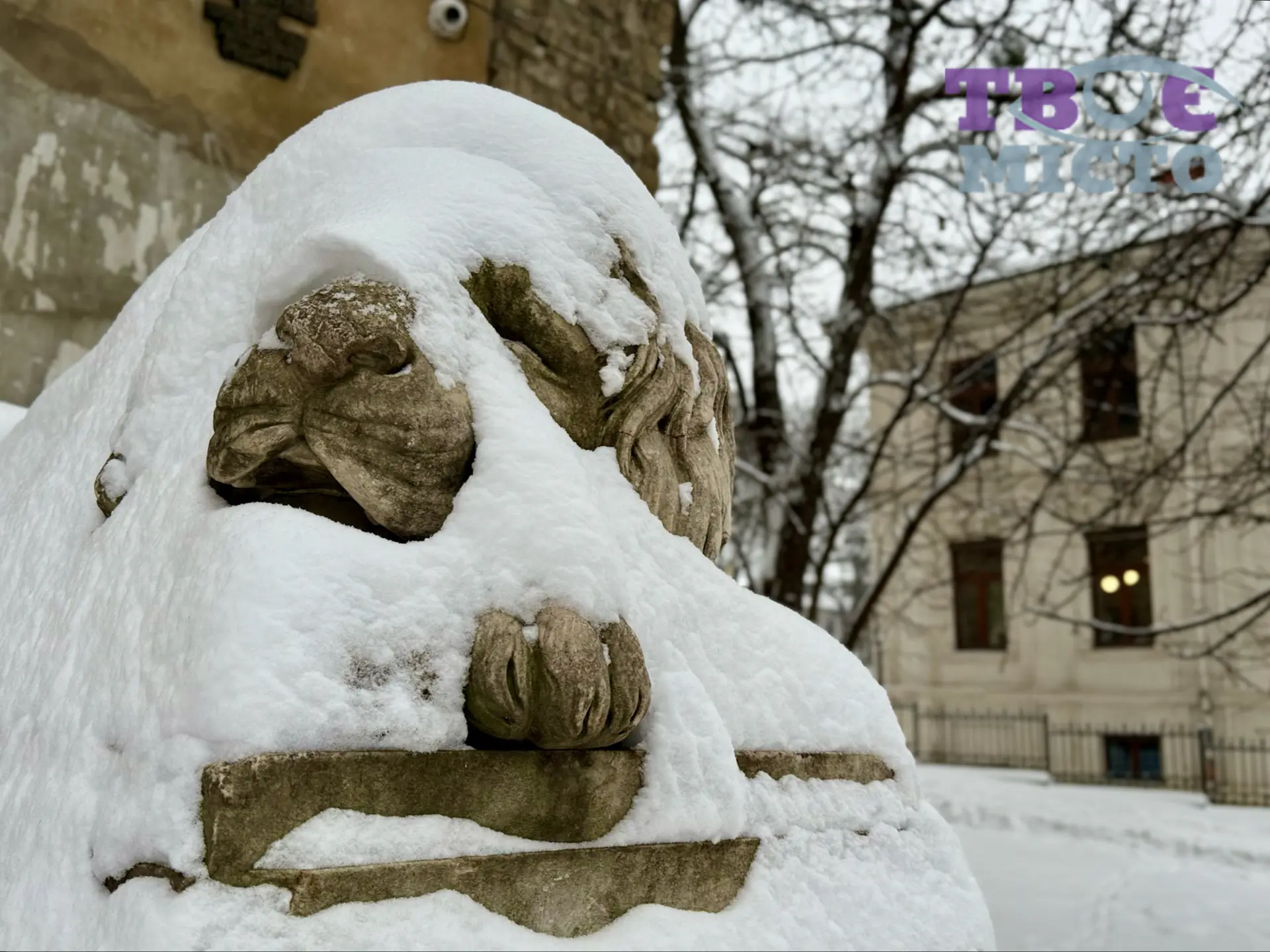 Зима у Львові / Фото: Твоє місто