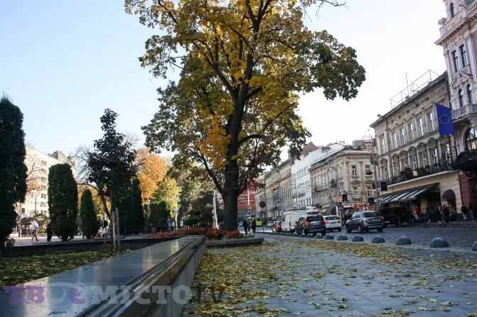 Фото: Марія Стахів