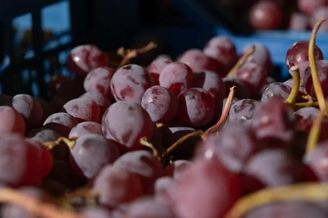 У Києві цього тижня відбудуться продуктові сільськогосподарські ярмарки