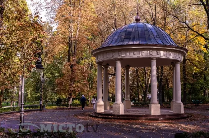 У парках Львова планують висадити понад сотню дерев
