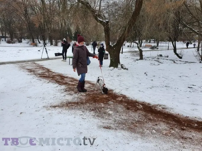 Експеримент у Львові. У парку почали посипати доріжки кавовою гущею. Фото, відео