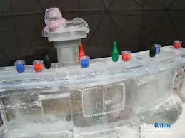 Завтра діти з особливими потребами у Львові побачать льодове шоу