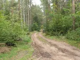 Під час спеки львів'ян закликають до обережності у парках та лісі