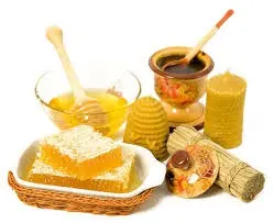 У суботу у Львові відкриють ярмарок органічної продукції. Програма