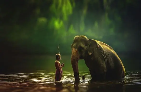 Телеканал National Geographic заговорить українською