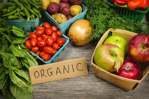 Ярмарок органічної продукції у Львові: приготування їжі, дегустація та майстер-класи
