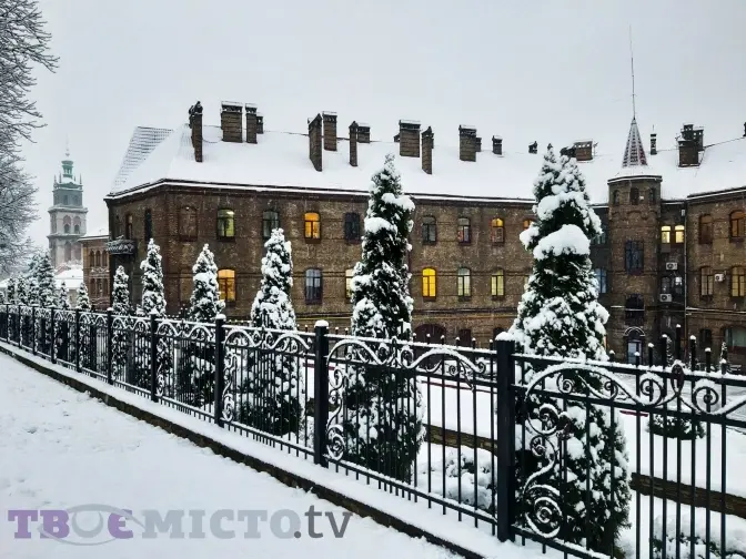 Фото: Аліна Петренко