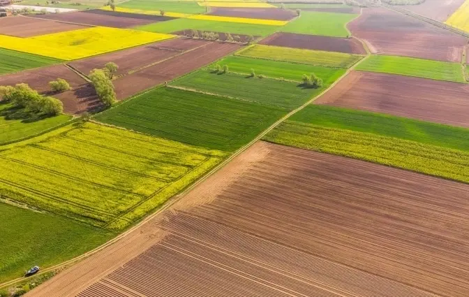 фото умовне