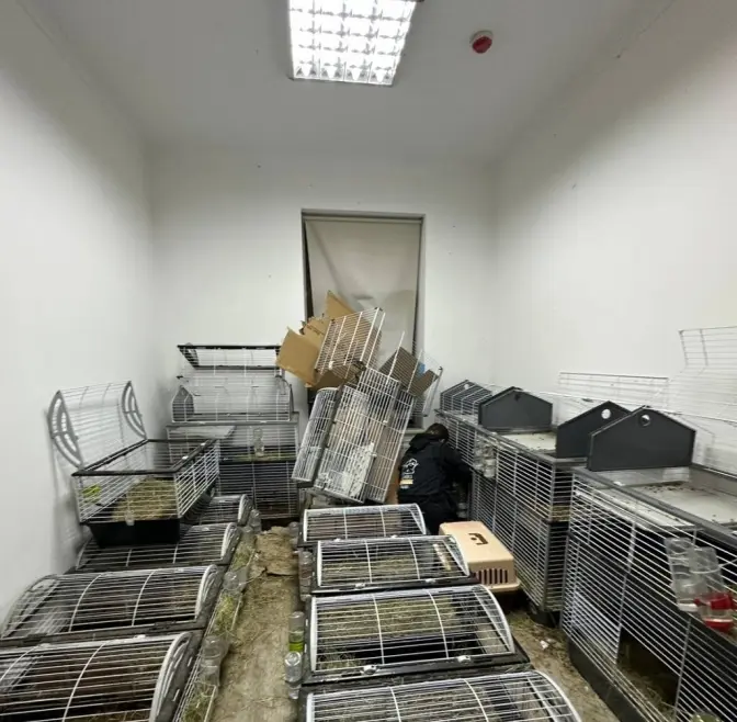Фото: Домівка врятованих тварин