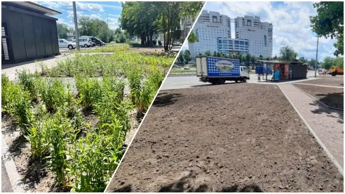У Києві на місці знесених кіосків на Берестейській комунальники облаштували зелену зону без лавочок. Причина