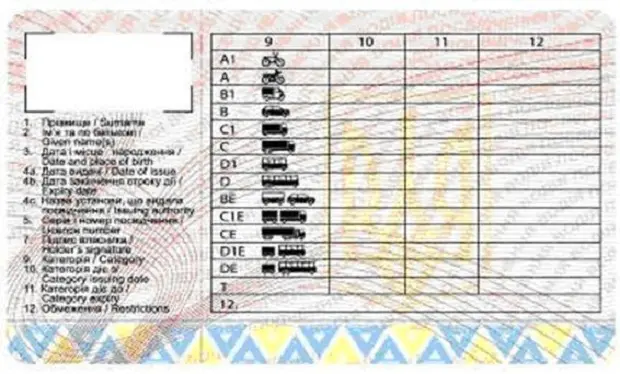 Українські водійські права визнали дійсними в Італії
