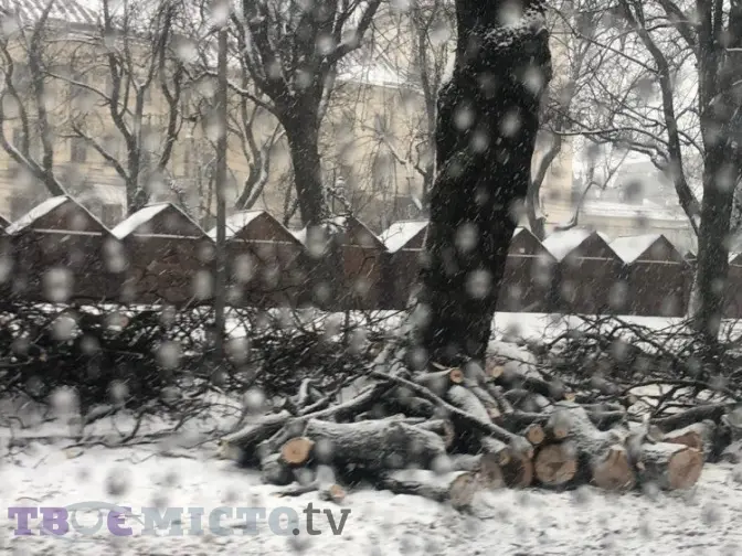 На проспекті Свободи зрізають два ряди кленів. Весною їх замінять