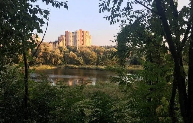 У Києві з’явився новий ландшафтний заказник