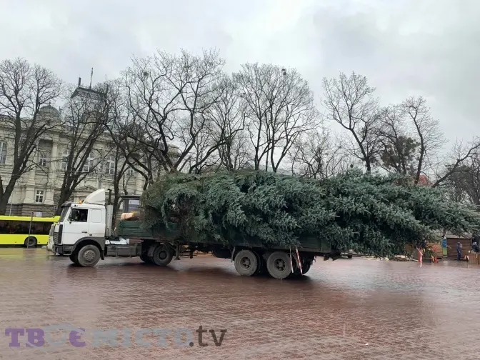 Фото дня. У центрі Львова встановили головну новорічну ялинку Львова