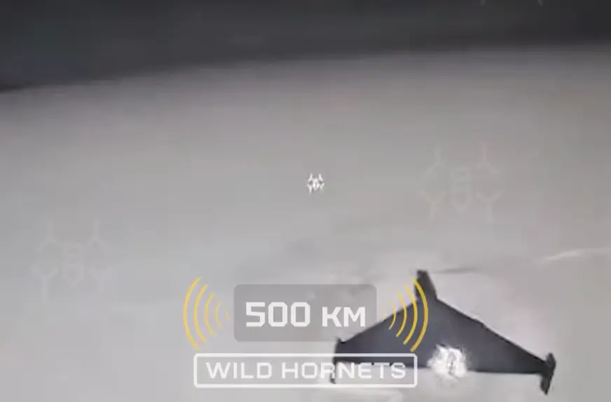 Збиття російського "шахеда" на відстані 500 км / Скриншот з відео "wild.hornets"