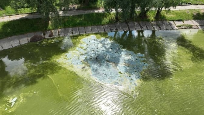 Забруднення озера Віра в Києві. Фото: КМДА