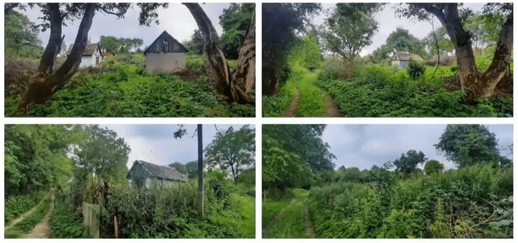 Візуалізація з виконкому ЛМР