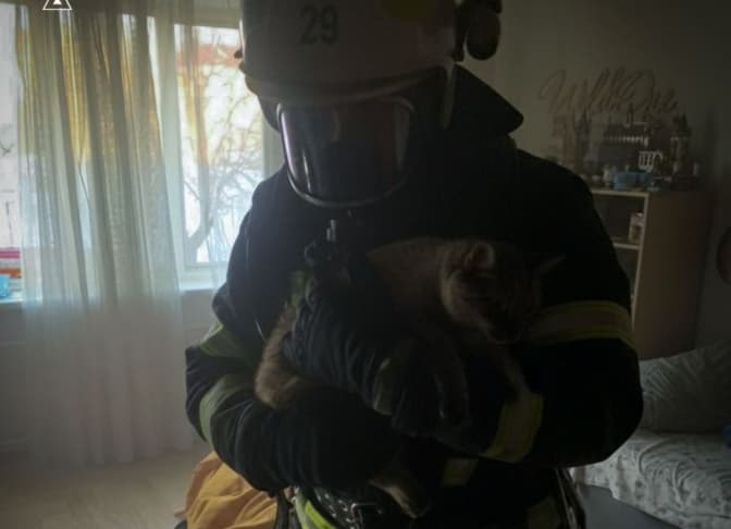 У Львові під час пожежі в багатоповерхівці рятувальники врятували кота