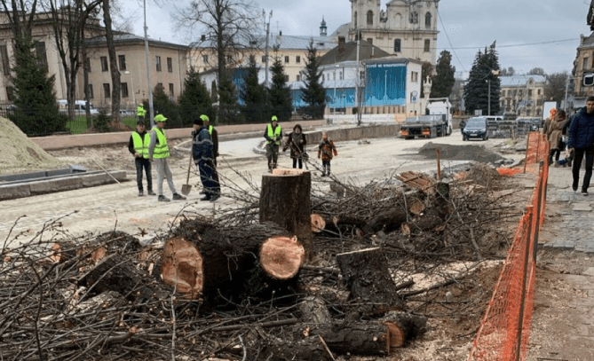 На вулиці Бандери у Львові почали зрізати дерева. Фотофакт