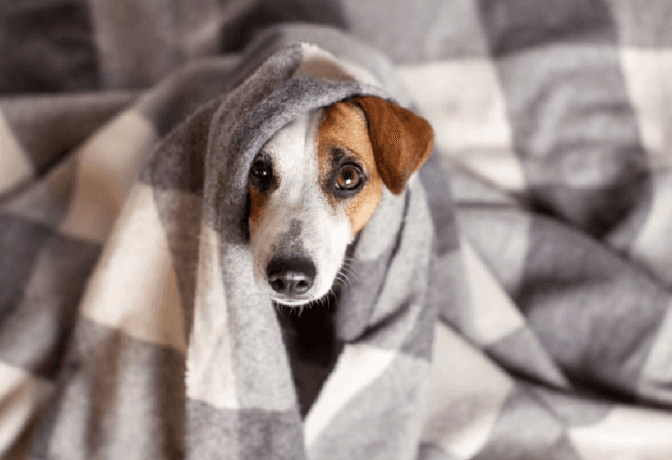 Фото: Shutterstock