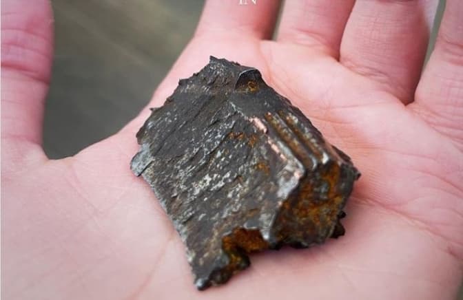 Фото: Твіттер Анджеліни Джолі