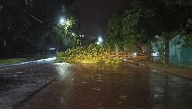 фото ігоря зінкевича