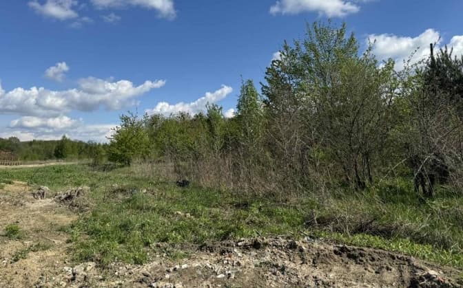 Ексрегіонал придбав земельну ділянку біля Львова за 5 млн грн