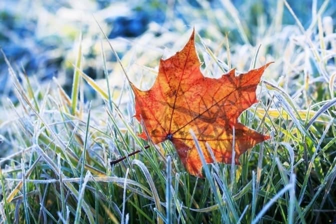 У Києві почалося «бабине літо»